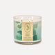 Stress Relief Eucalyptus + Spearmint