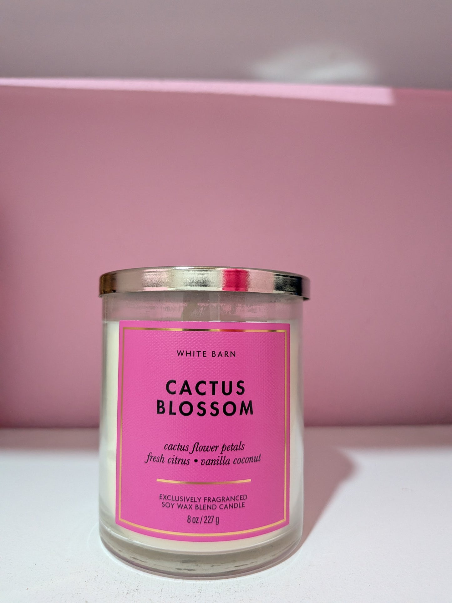 Cactus Blossom