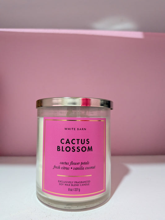Cactus Blossom