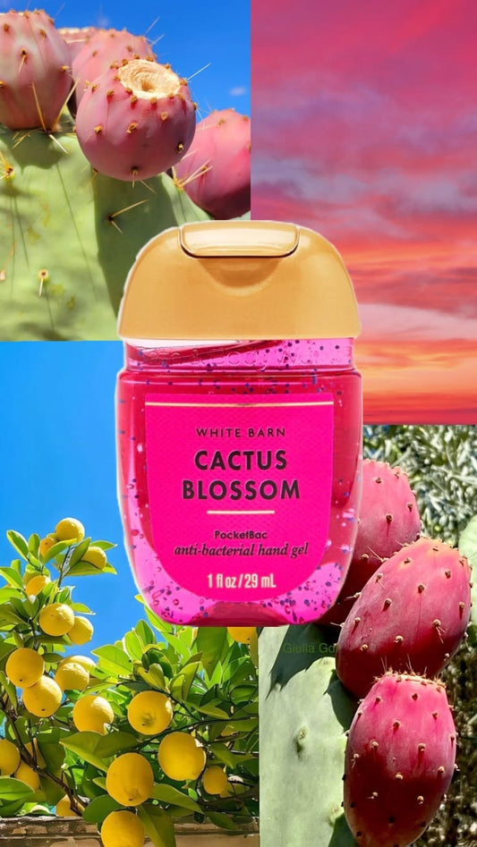 Cactus Blossom